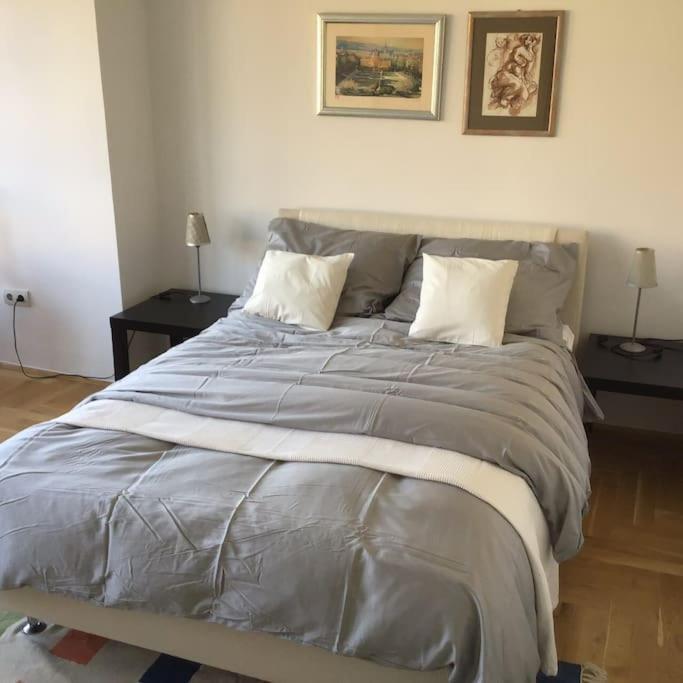 Spacious 3Br/2Bt Apartment With A/C In City Center Zagreb Exterior photo
